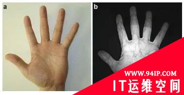 掌静脉识别技术及其产品应用