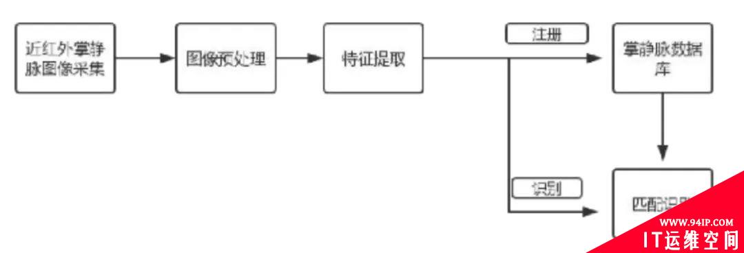 掌静脉识别技术及其产品应用