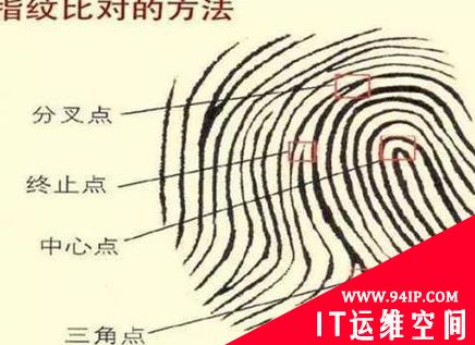 用手机摄像头就能捕捉指纹？！准确度堪比签字画押，专家：你们在加剧歧视