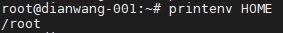 打印Linux环境变量的命令有哪些？