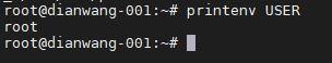 打印Linux环境变量的命令有哪些？