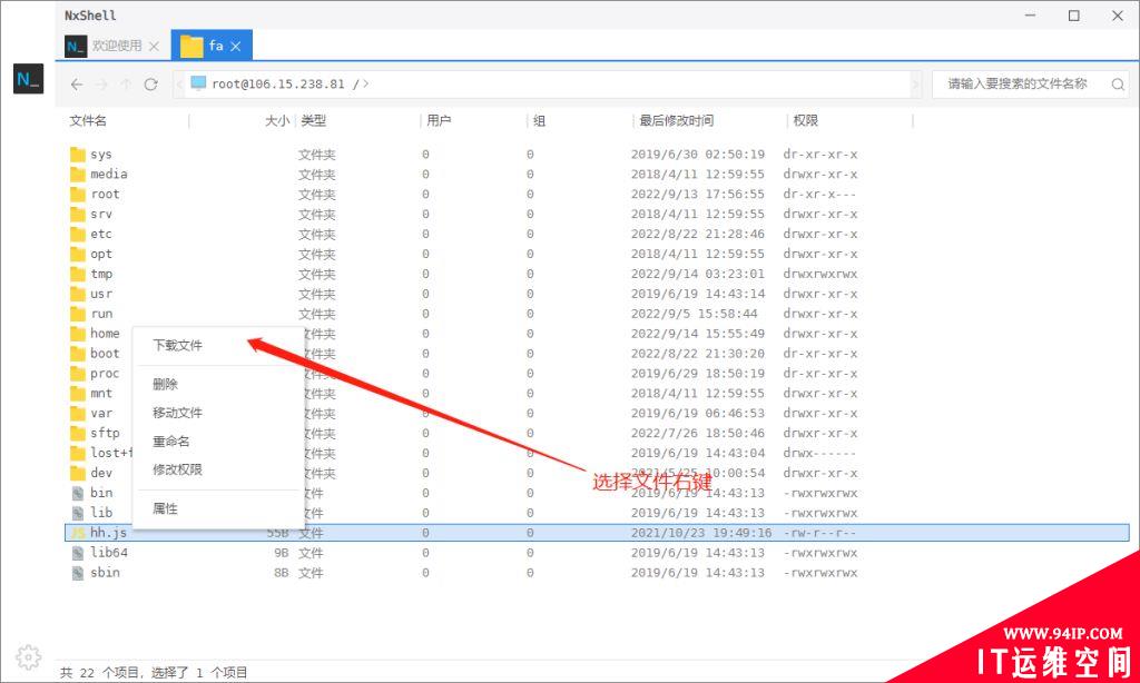 NxShell：Linux下一代远程工具免费SSH客户端